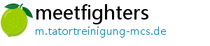 meetfighters